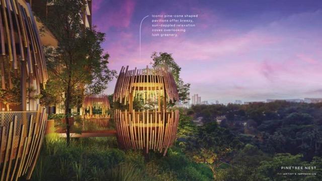 Pinetree Hill Canopy