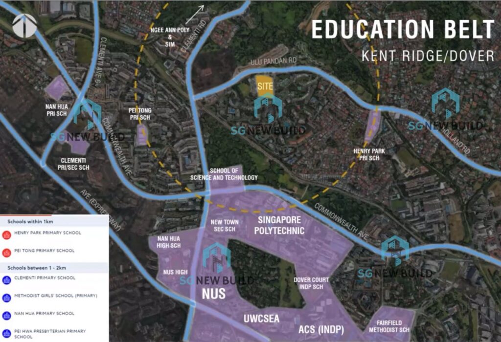 Pinetree Hill Education Belt