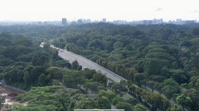 Springleaf Residence View