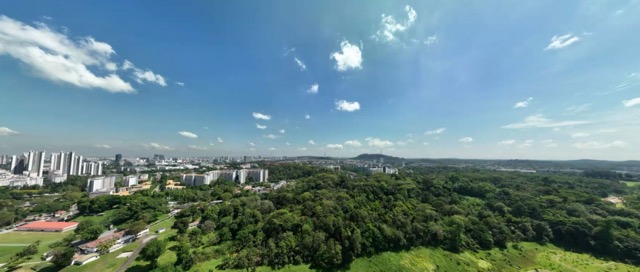 VIew from Pinetree Hill