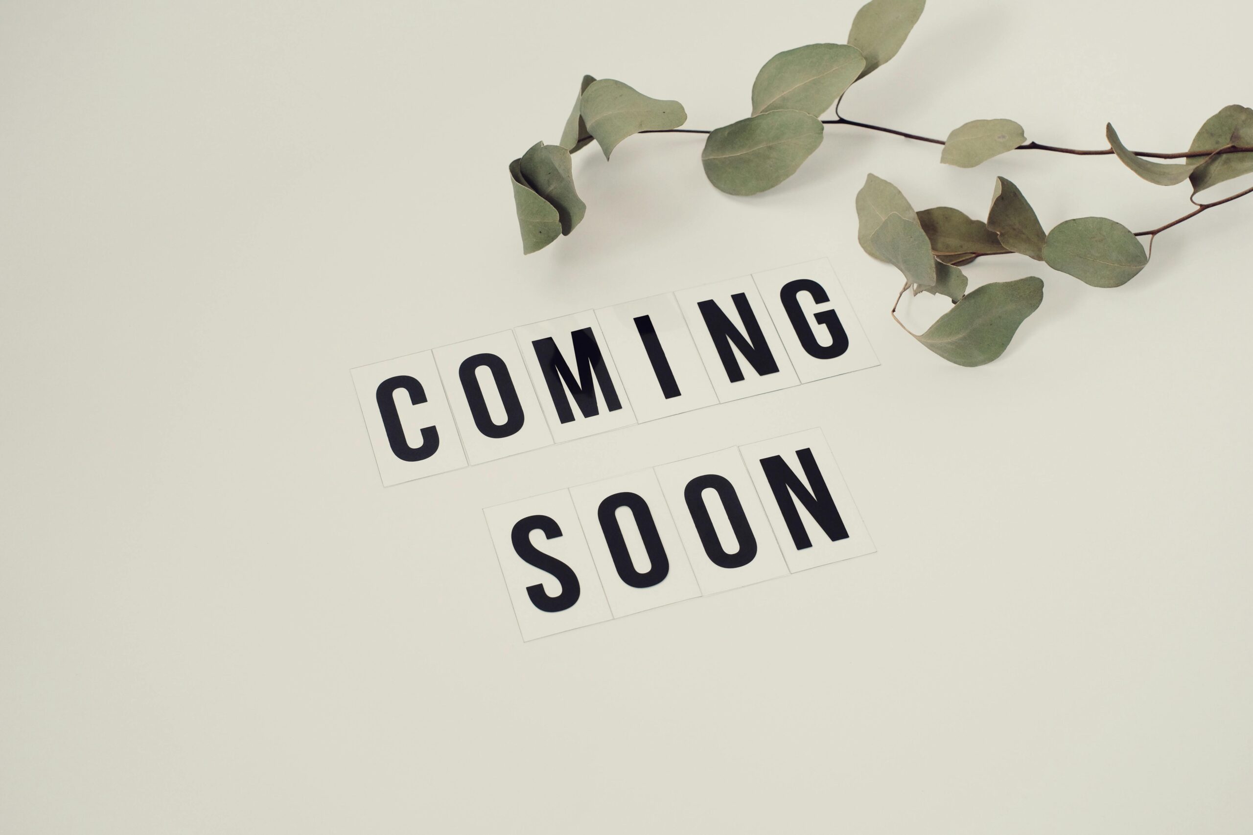 Floor plan coming soon